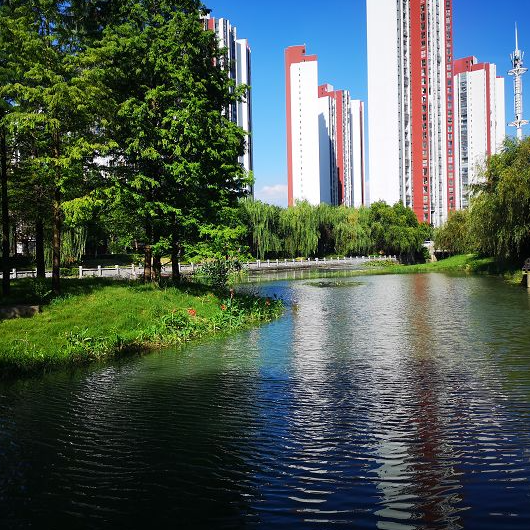 新華日?qǐng)?bào)頭條 深度解析維爾利水環(huán)境綜合提升工程