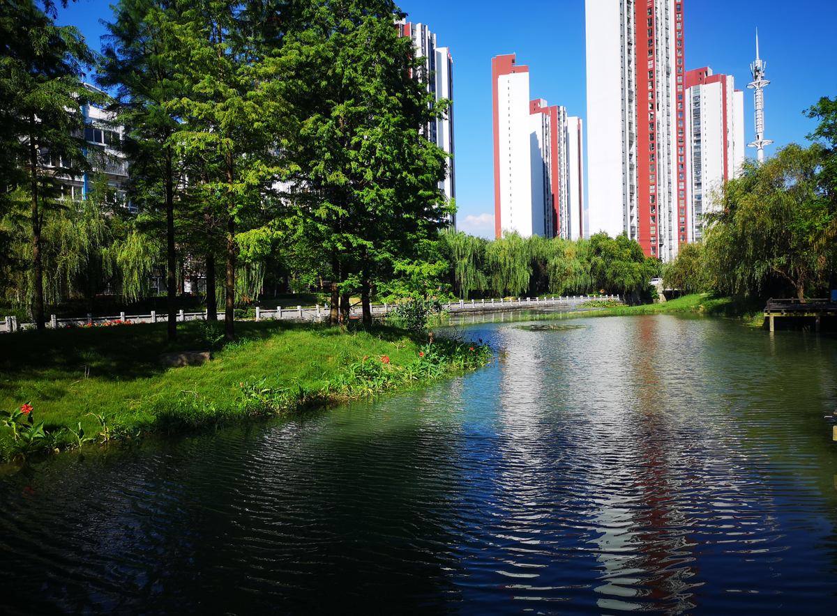 薛家鎮(zhèn)區(qū)域水環(huán)境綜合整治項(xiàng)目(中央資金項(xiàng)目)